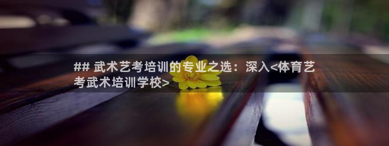 焦点娱乐有限公司