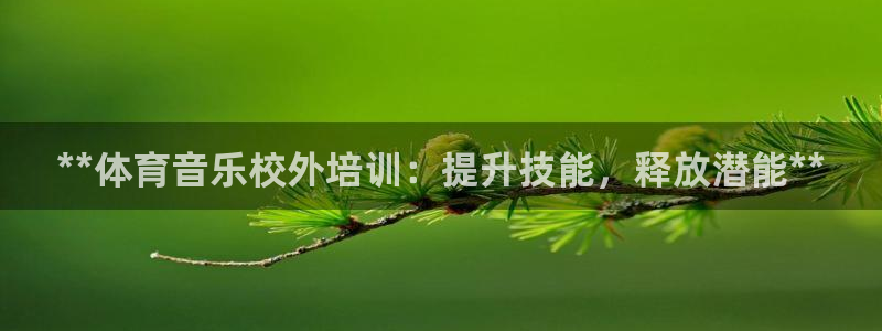焦点娱乐传媒有限公司招聘要求：**体育音乐校外培训：提升技能
