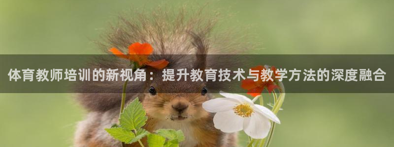 焦点娱乐说说句子