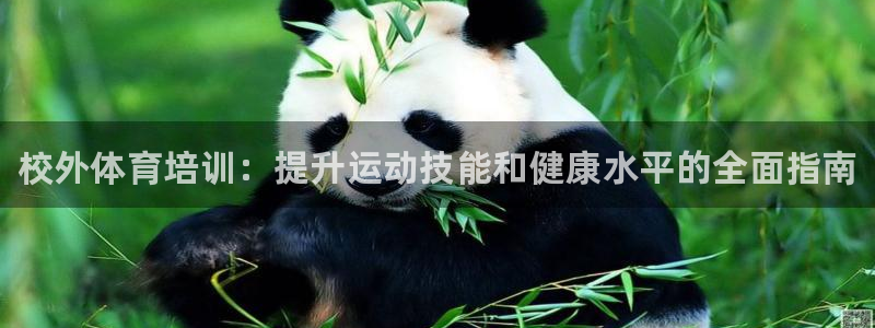 焦点娱乐平台注册账号是什么意思：校外体育培训：提升运动技能和