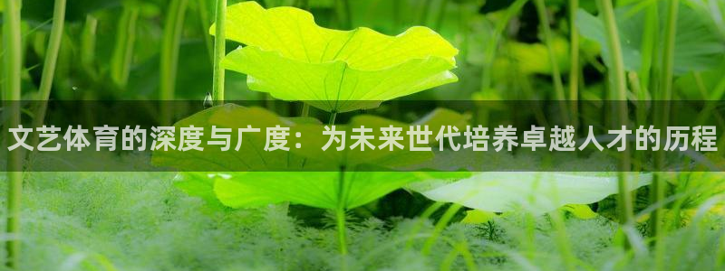 焦点娱乐官网下载安装手机版