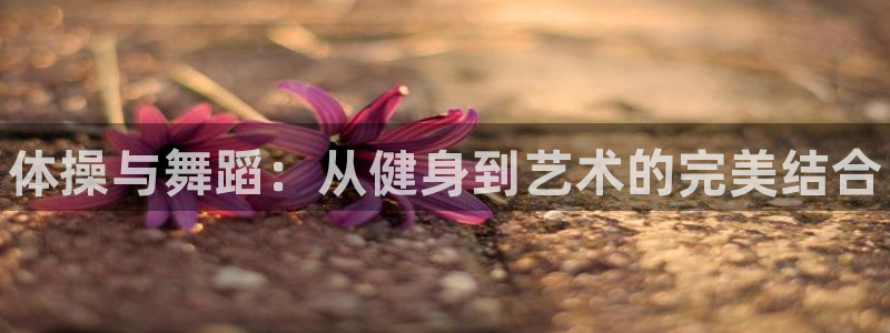 焦点娱乐平台是正规的吗安全吗