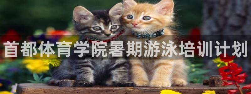 焦点娱乐官网下载安装苹果