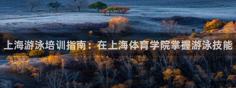 焦点娱乐官网下载安装苹果版：上海游泳培训指南：在上海体育学院