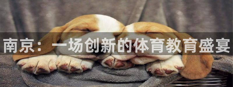 焦点娱乐网站下载地址在哪：南京：一场创新的体育教育盛