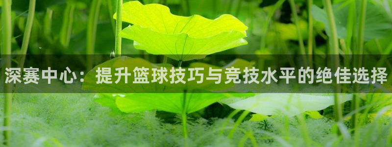 焦点娱乐平台主管：深赛中心：提升篮球技巧与竞技水平的绝佳选择