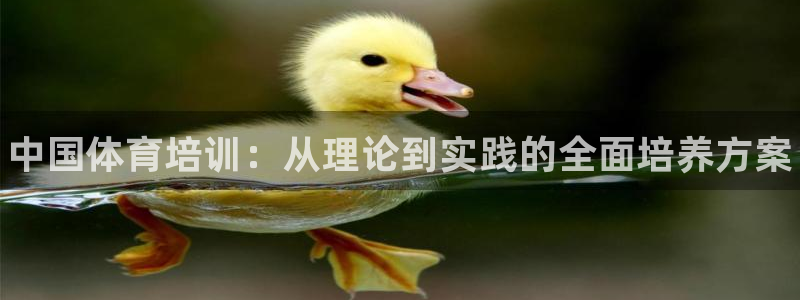 焦点娱乐vs皇族不败神话下载：中国体育培训：从理论到实践的全