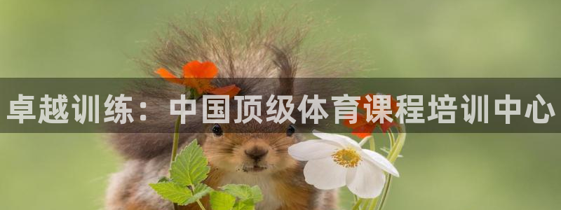 焦点娱乐星：卓越训练：中国顶级体育课程培训中心