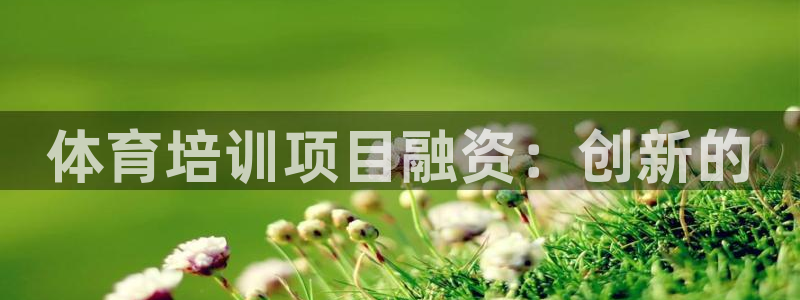 焦点娱乐平台注册账号：体育培训项目融资：创新的