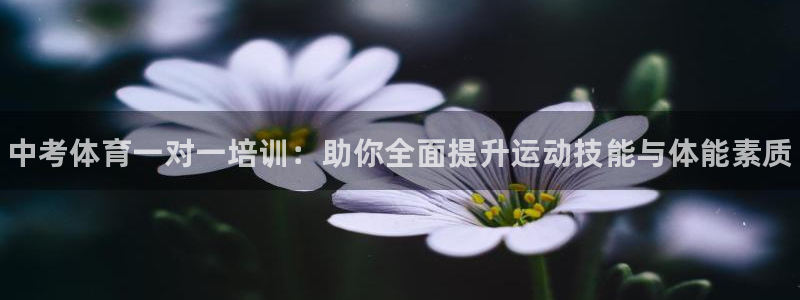 焦点娱乐门徒娱乐骗局视频：中考体育一对一培训：助你全面提升运