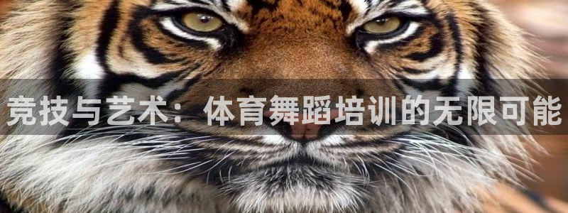 焦点娱乐可以解封银行卡吗是真的吗：竞技与艺术：体育舞蹈培训的