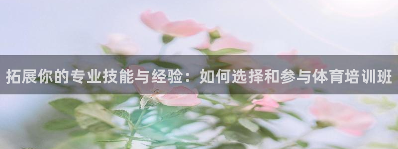 焦点娱乐传媒有限公司是干嘛的啊：拓展你的专业技能与经