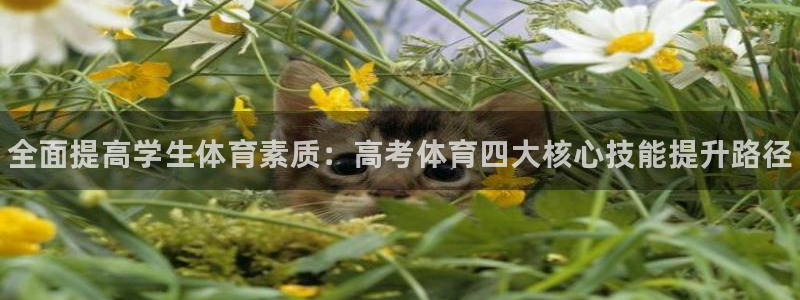 焦点娱乐游戏攻略：全面提高学生体育素质：高考体育四大