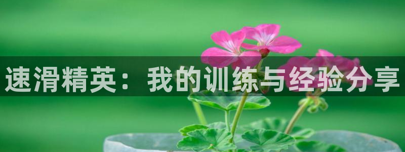 焦点娱乐平台注册账号是什么样的：速滑精英：我的训练与经验分享